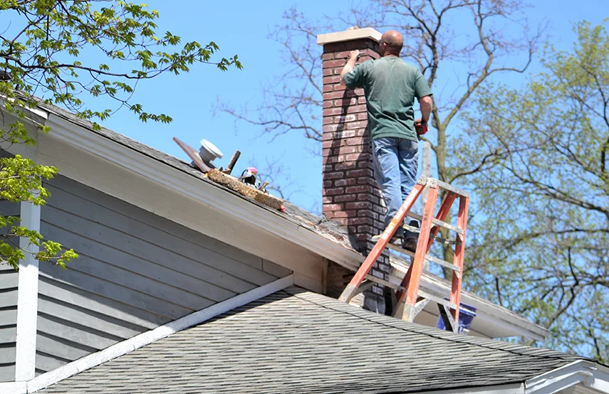Chimney & Fireplace Inspections Services in Lake Magdalene, FL